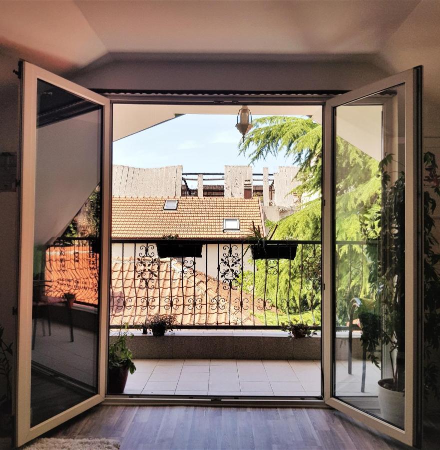 מוסטר Sun'S Ray Apartment מראה חיצוני תמונה
